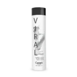Viral Colorwash Silver